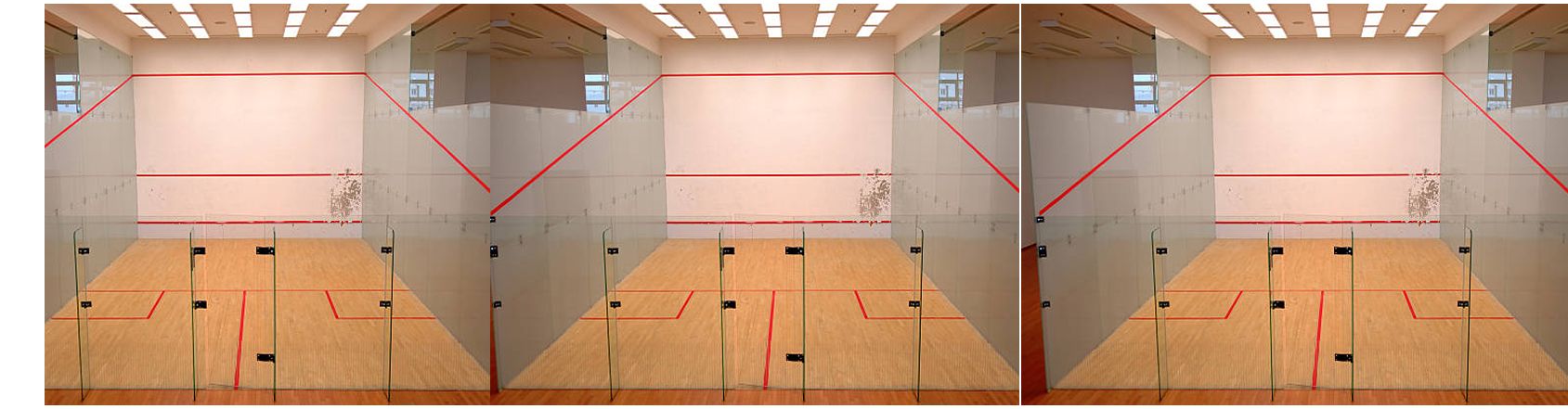 Elite pro squash player